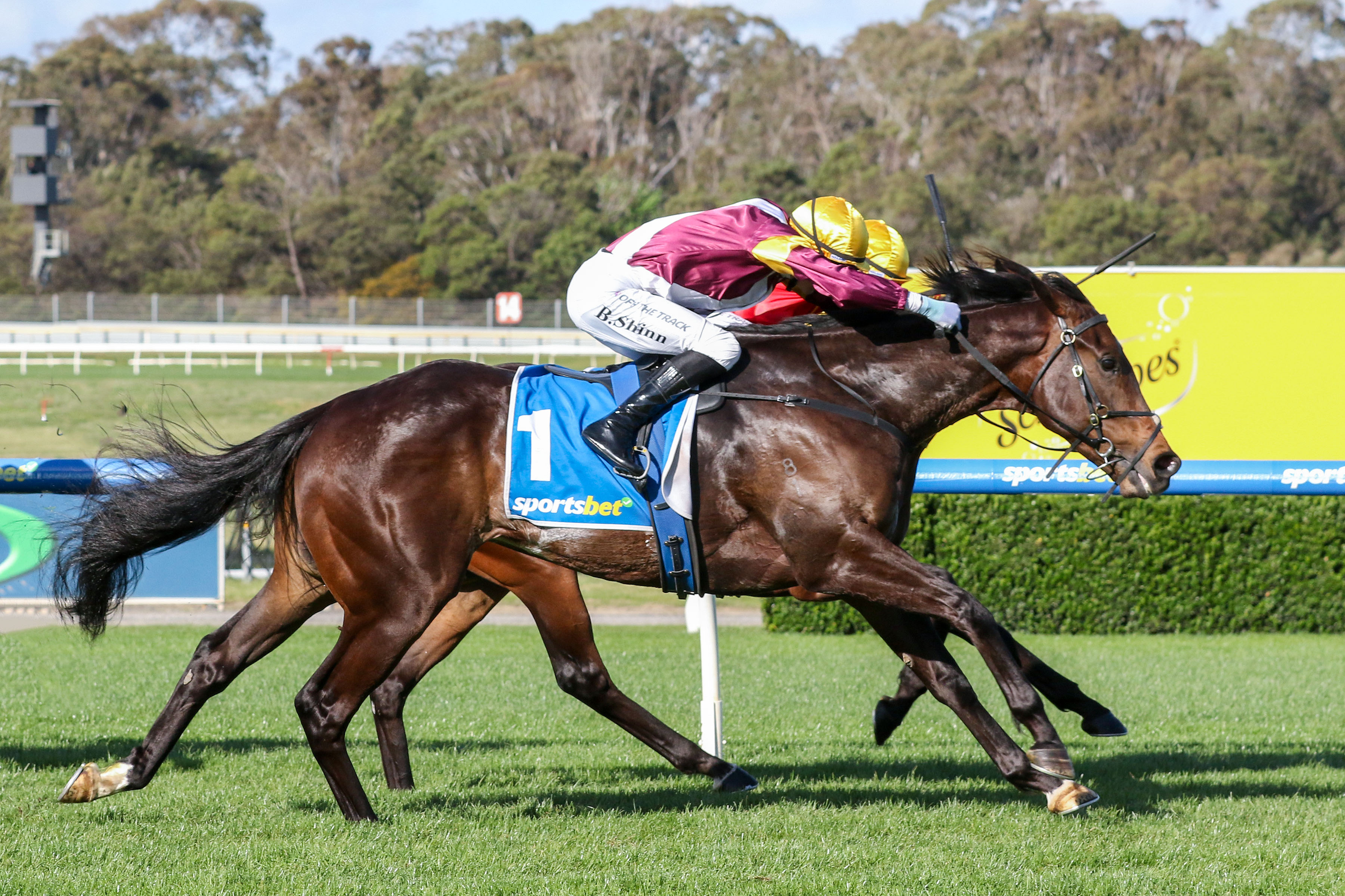 Katelyn McDonald's Sandown Tips: Moir Stakes Day 2026