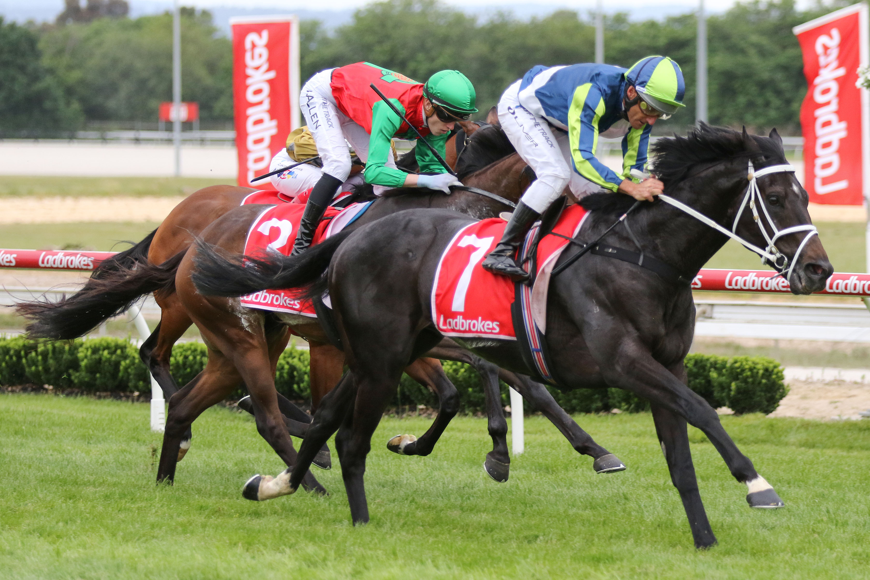 Group victory powers Cup hope across Tasman