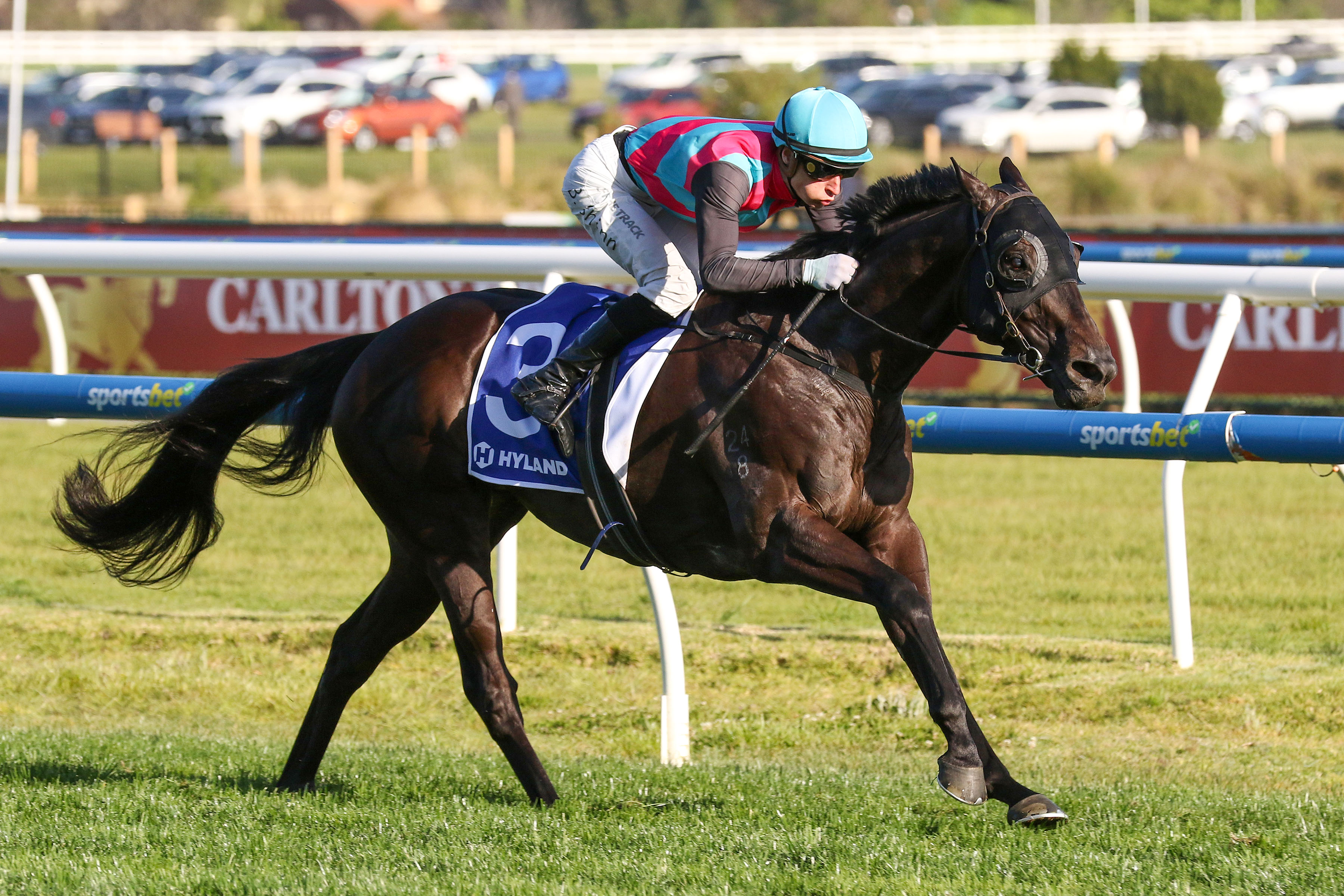 Queensland star Antino retired