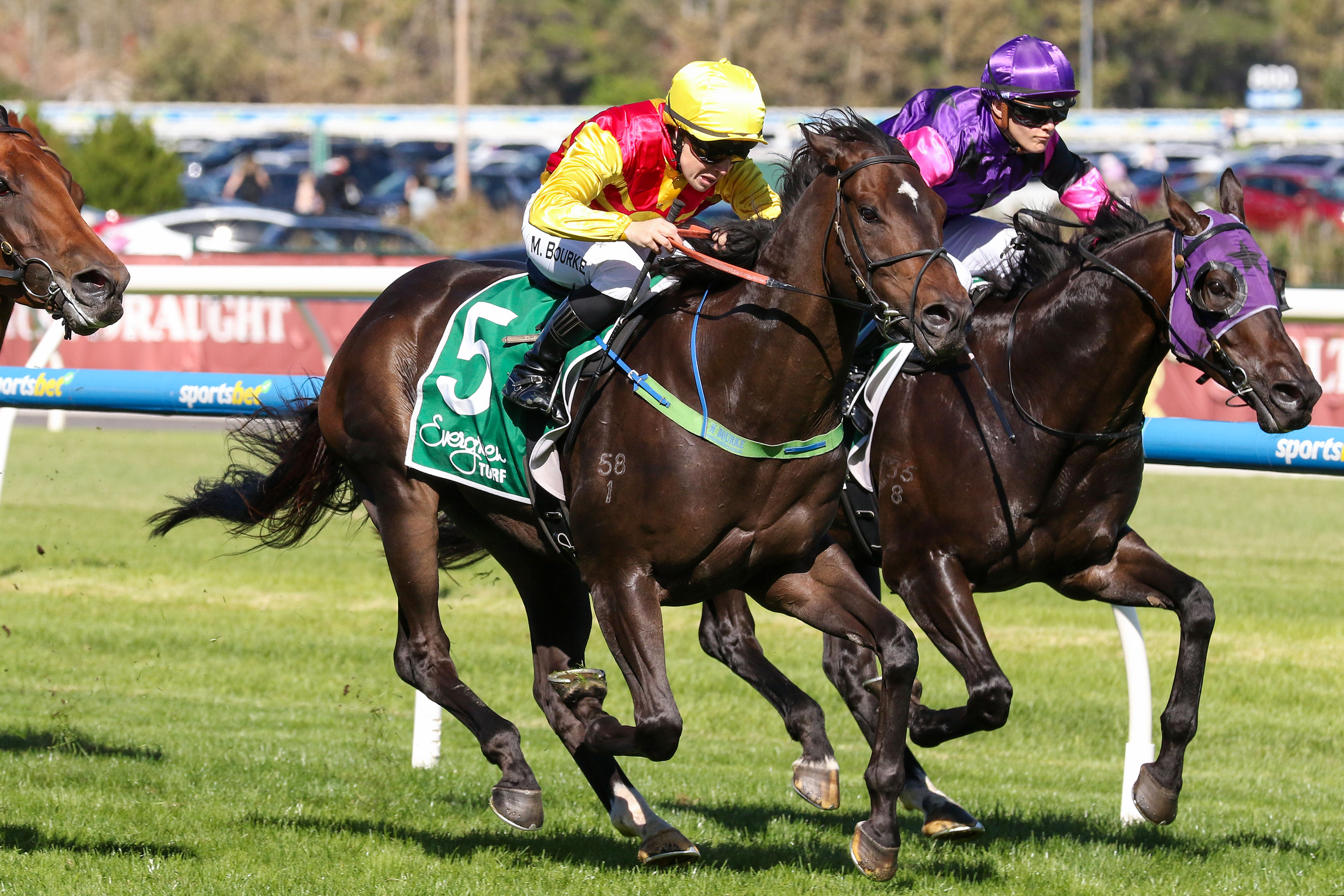 Rue De Royale breaks through million-dollar barrier
