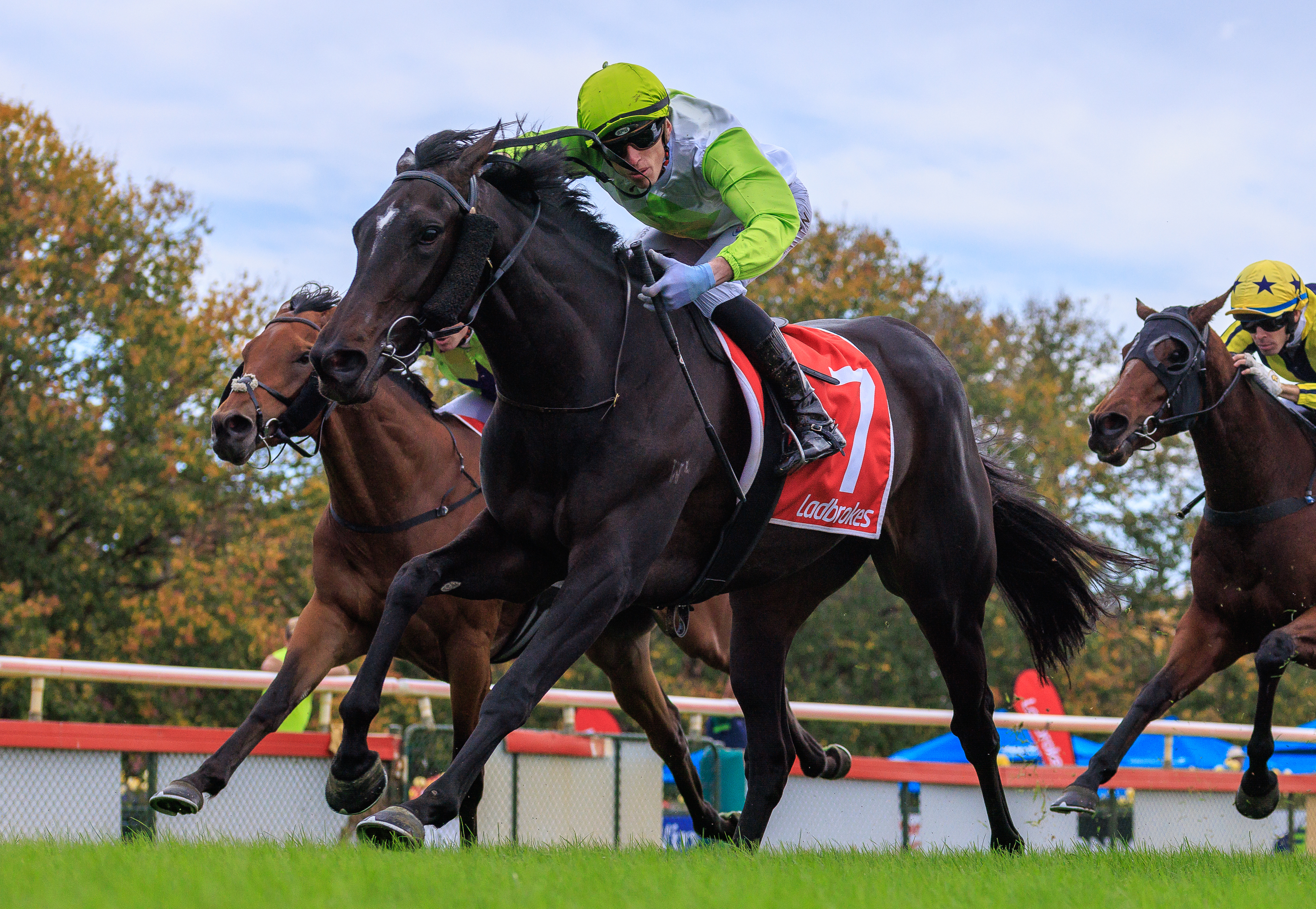 Amber Ridell House Of Lords delivers at Bendigo