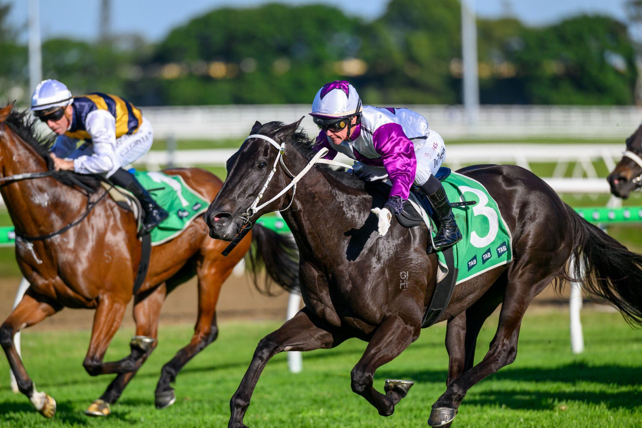 Nightline puts Oaks rivals on notice