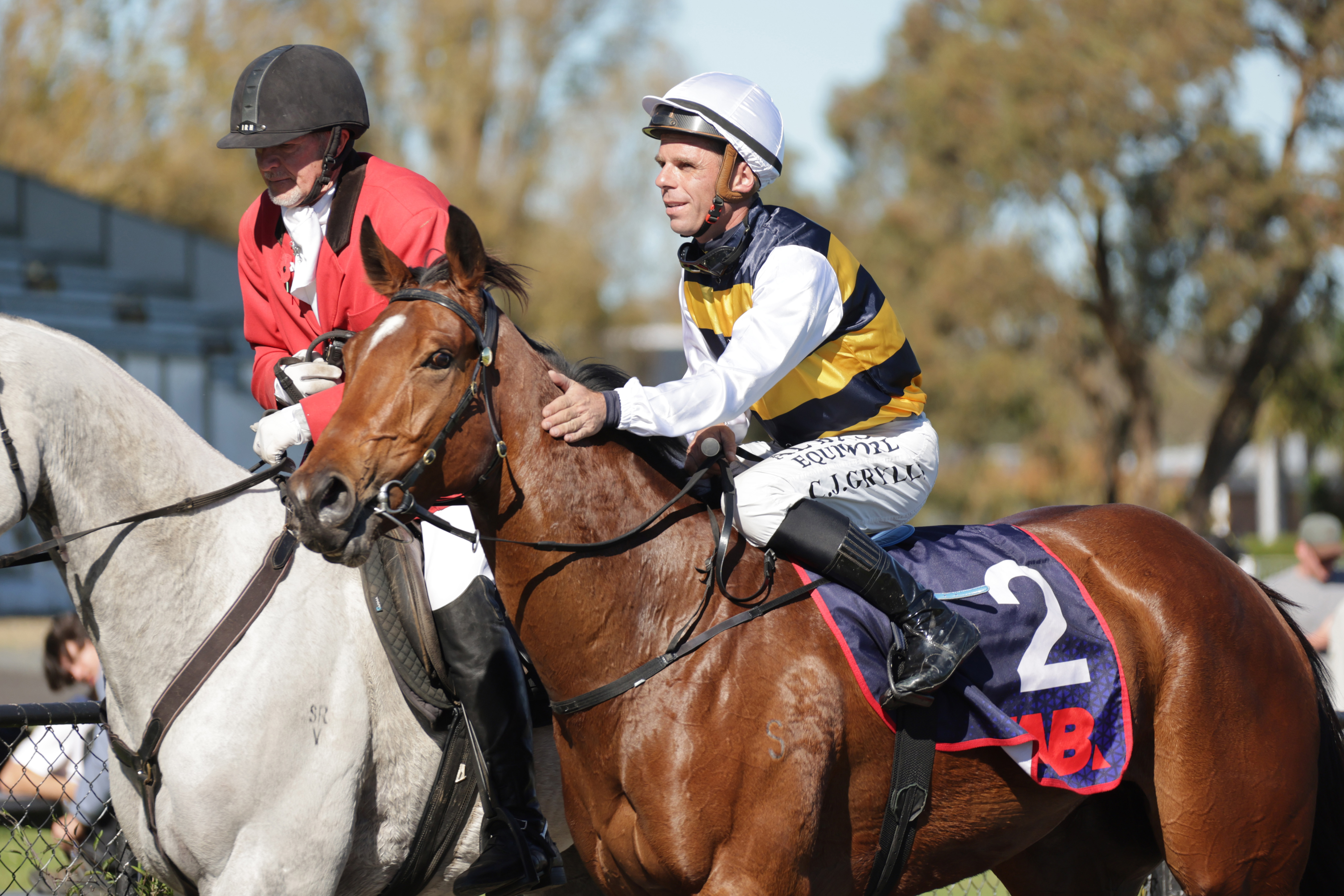 Amber Ridell Golden opportunity with quality filly