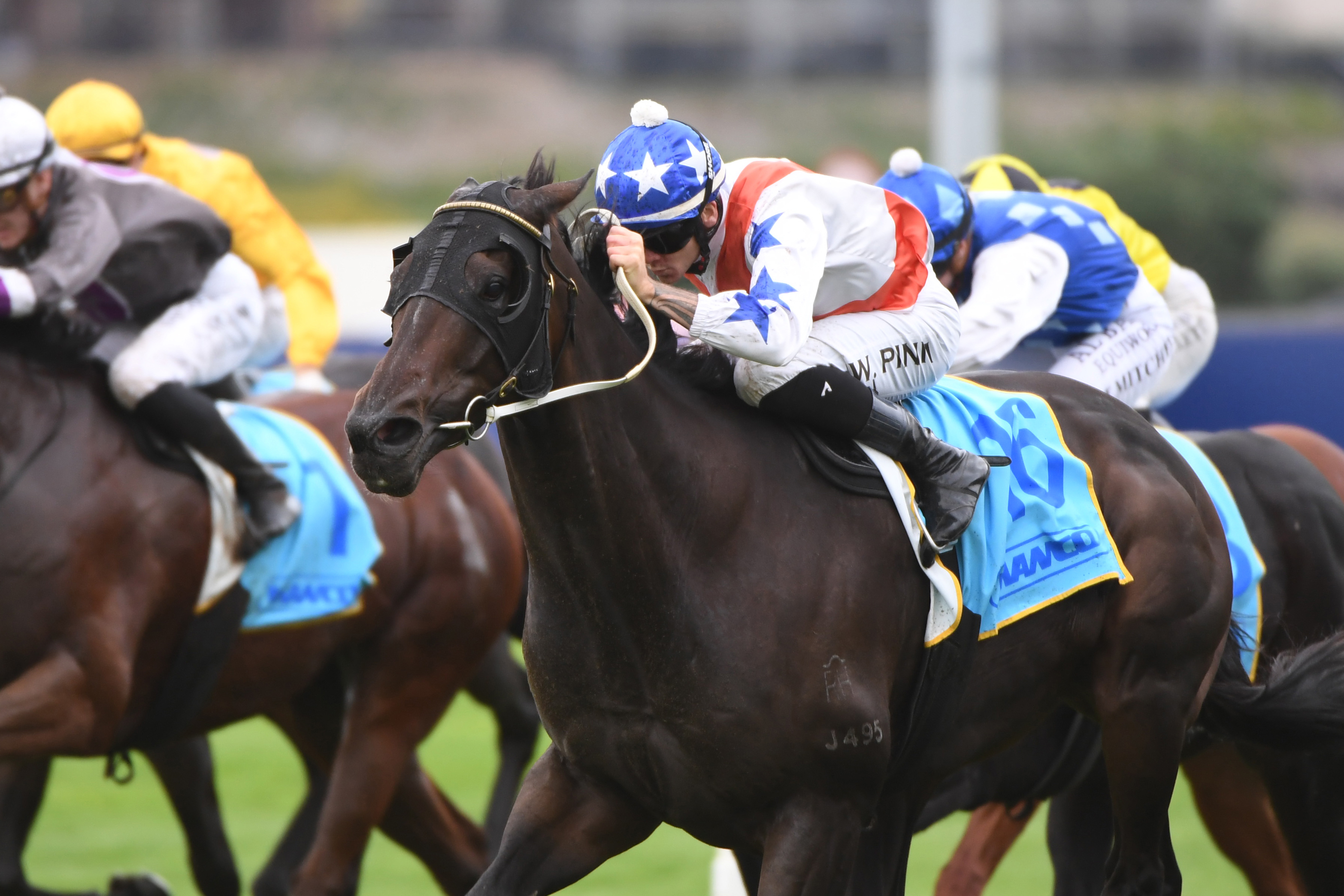 Lupo Solitario on track for elite-level debut