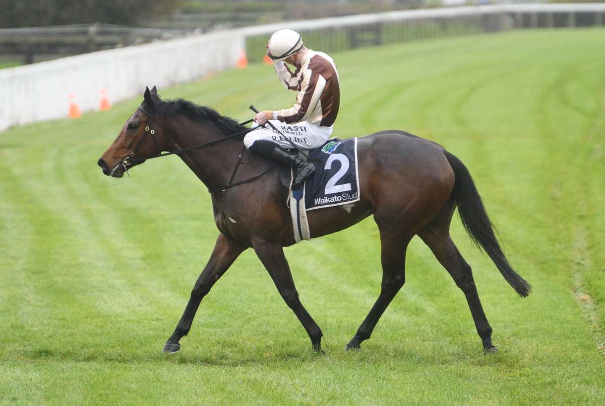 Amber Ridell Listed Team Wealleans Matamata Cup - Legarto