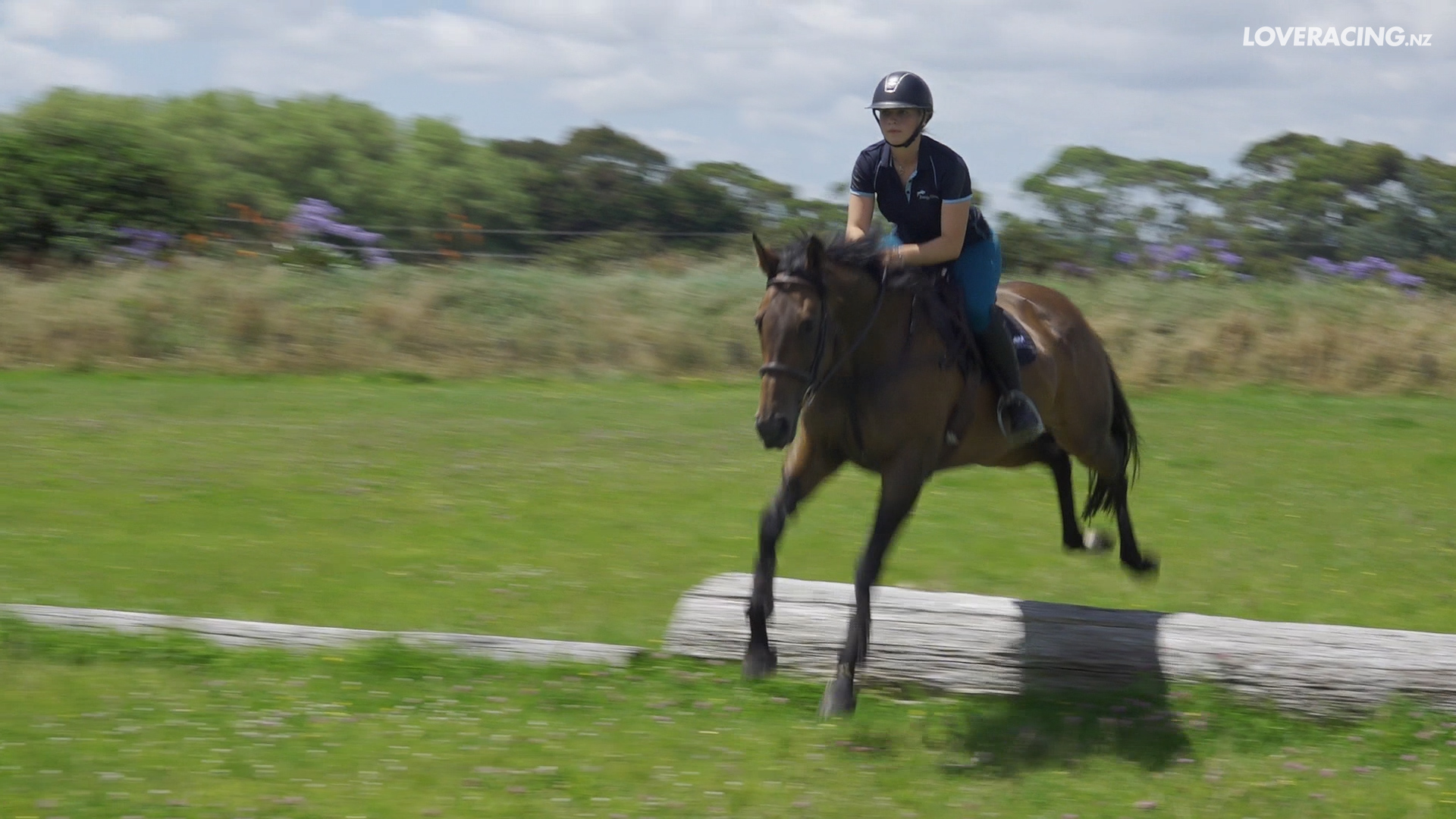 Jo Rathbone Jump Start Thoroughbreds