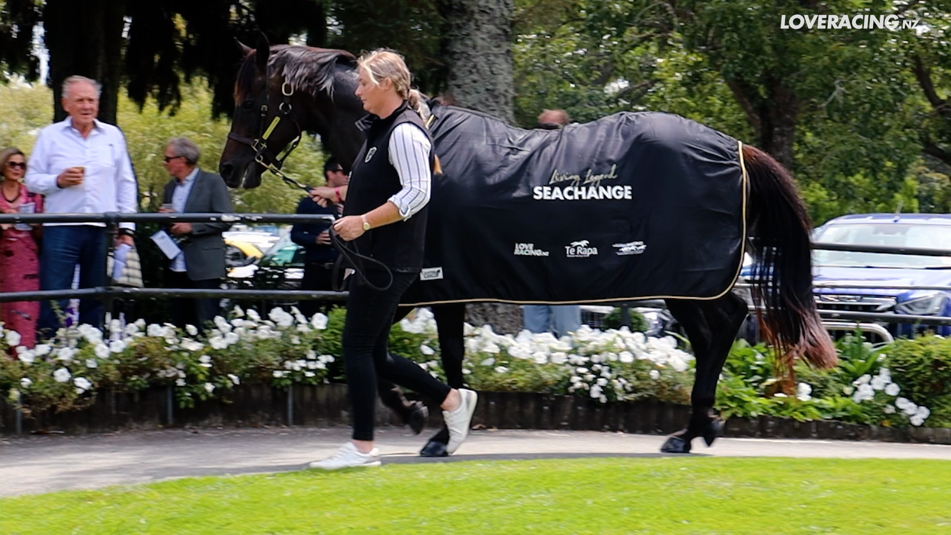 Te Rapa Racing Legends Day - Clodagh Coughlan