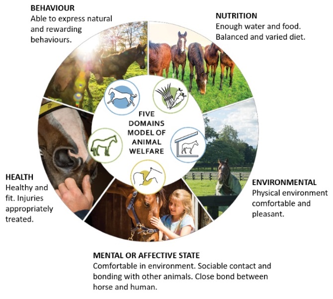 The Science Behind Our Welfare Approach